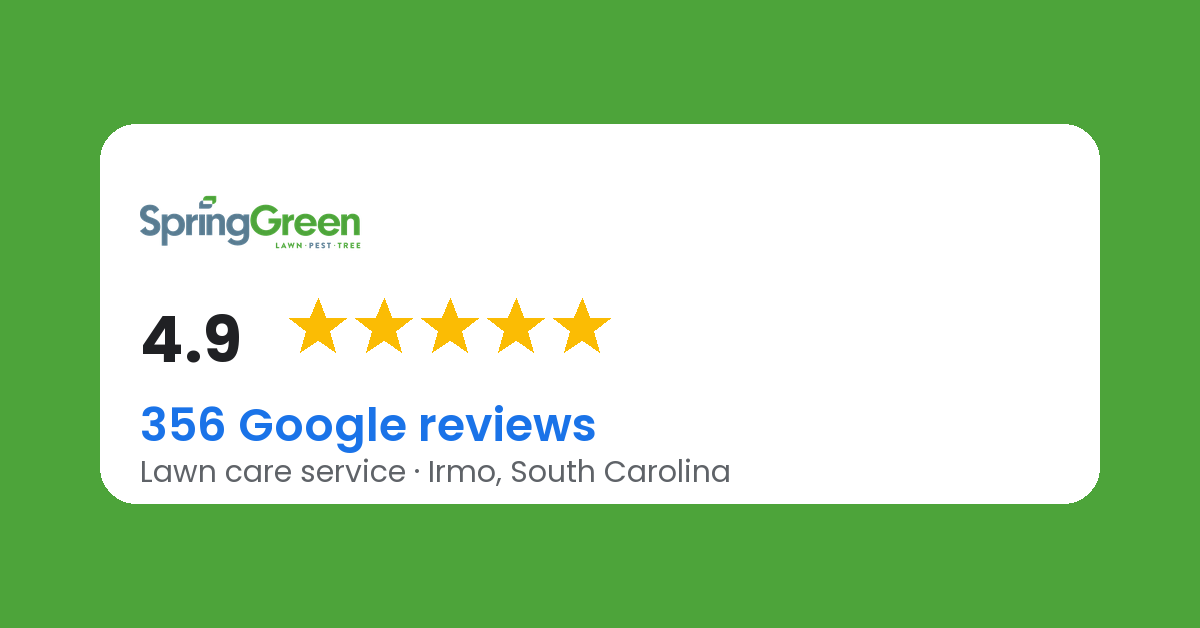 4.9 stars across more than 350 Google reviews — SpringGreen, Irmo, South Carolina